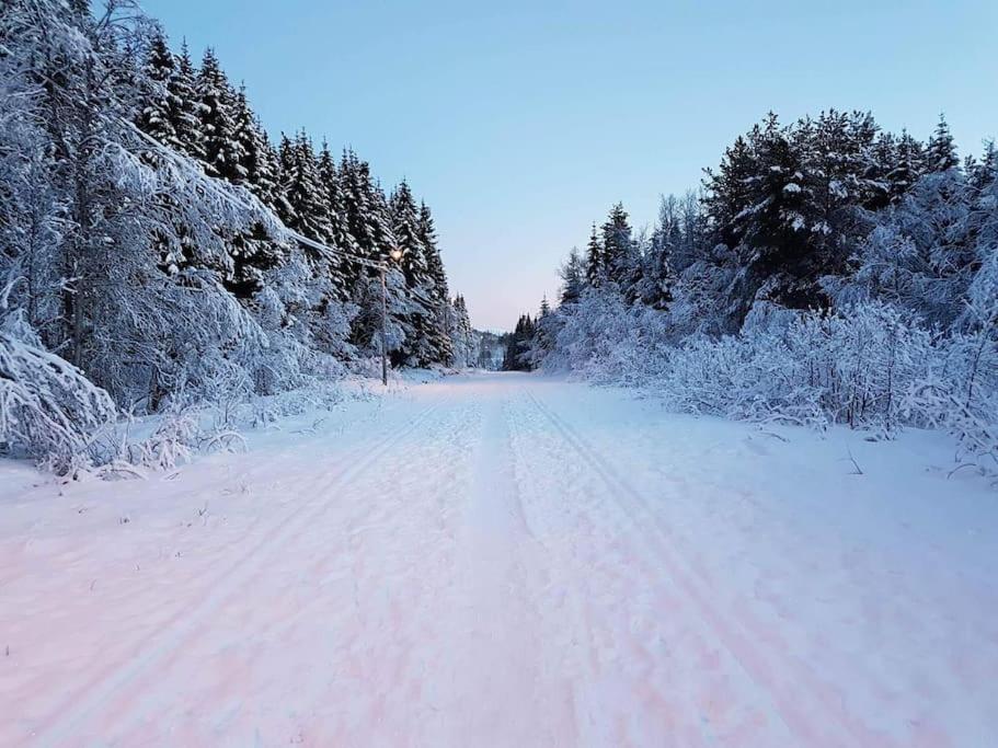 Sentralt I Med Parkering, Egen Inngang Tromsø